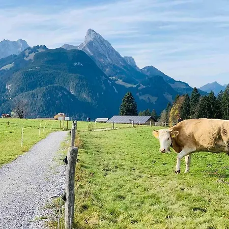 Cozy With Garden And Mountain View. Daire Zweisimmen